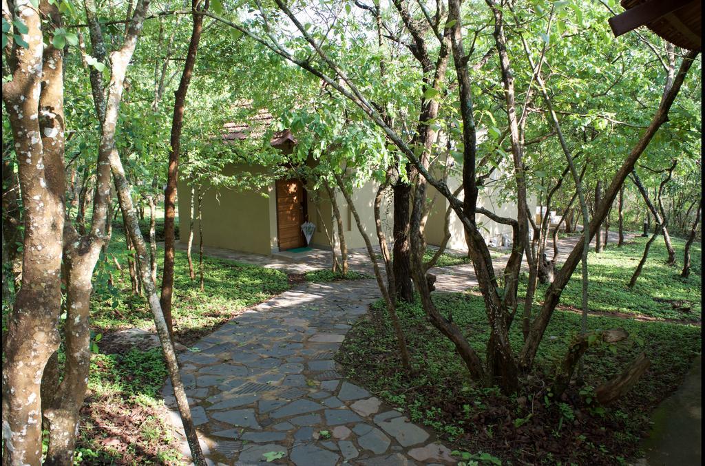 The Windflower Jungle Resort & Spa, Bandipūr Kültér fotó