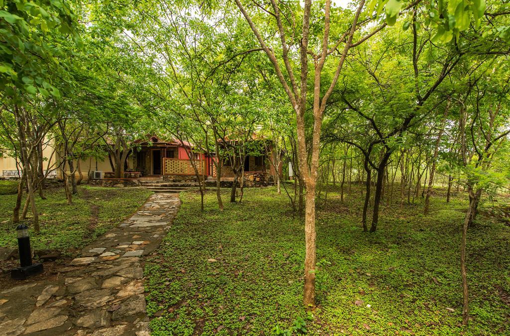 The Windflower Jungle Resort & Spa, Bandipūr Kültér fotó