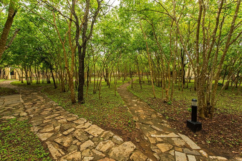 The Windflower Jungle Resort & Spa, Bandipūr Kültér fotó