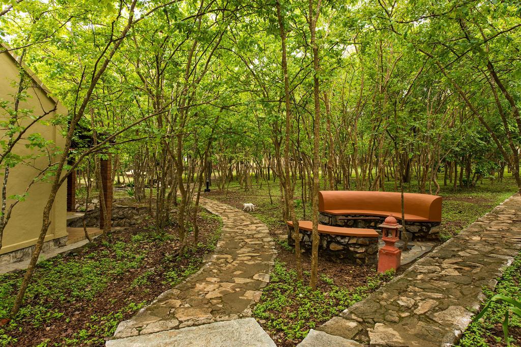 The Windflower Jungle Resort & Spa, Bandipūr Kültér fotó