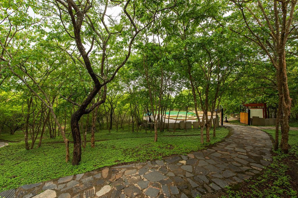 The Windflower Jungle Resort & Spa, Bandipūr Kültér fotó