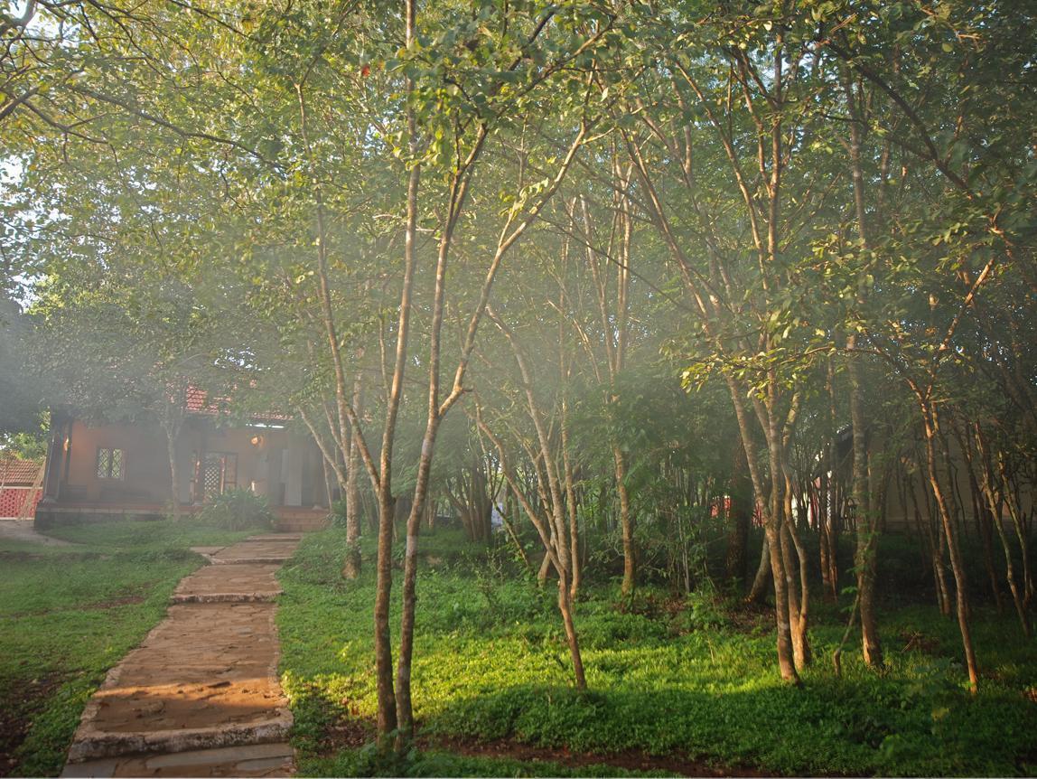 The Windflower Jungle Resort & Spa, Bandipūr Kültér fotó